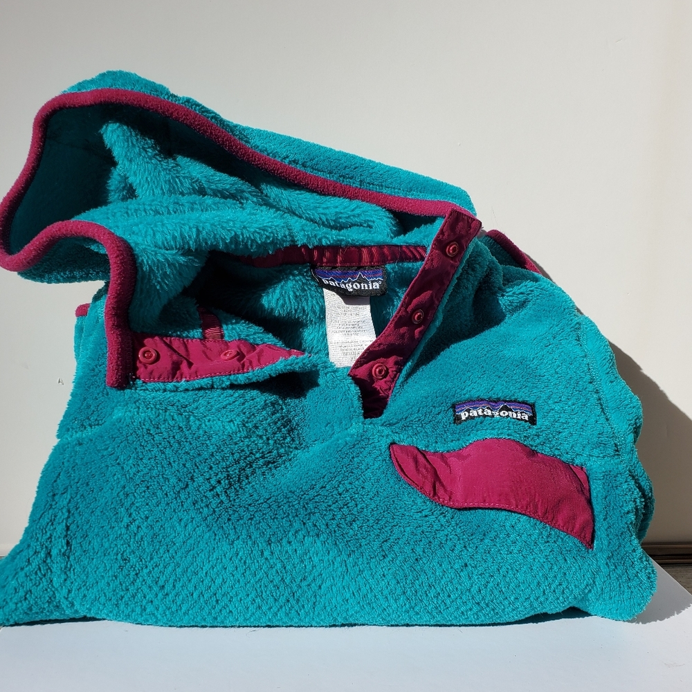 Patagonia Fleece Hoodie